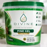 Detergent Products