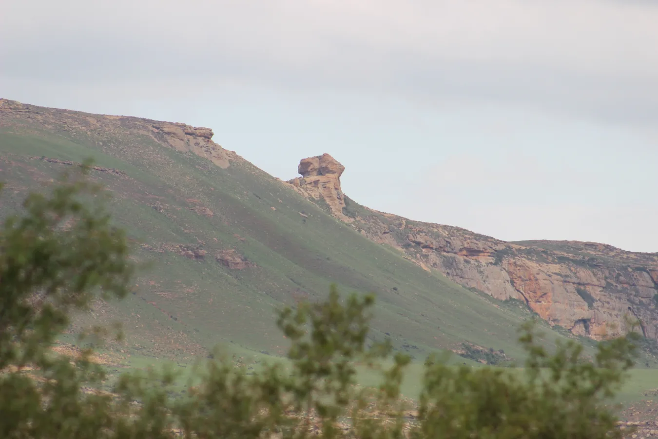 Mountain Great Lover